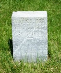 CHATFIELD Orrin S 1888-1894 grave.jpg